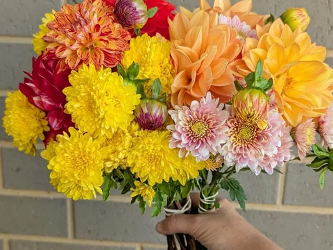 Fresh picked flowers from Silhouette Stems 
