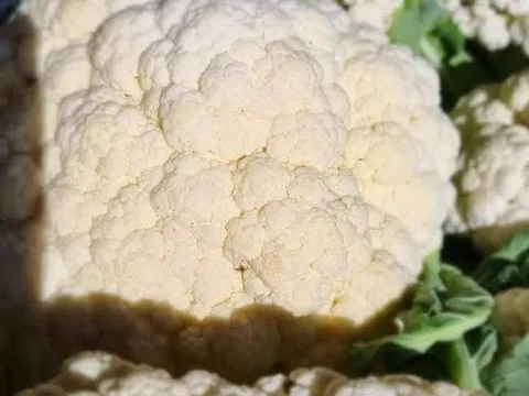 Cauliflower from Parawanga Produce