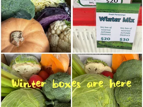 Winter mix boxes from Parawanga Produce