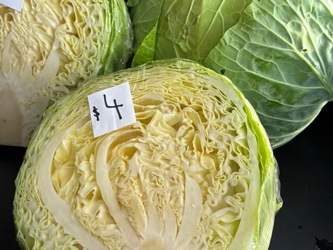 Cabbage from Parawanga Produce