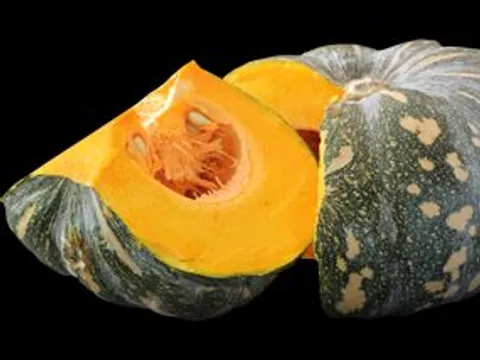 Organic kent pumpkin from From the garden