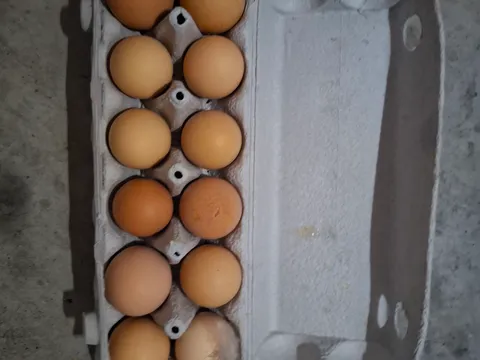 Chicken or duck eggs from Sue's Eggs