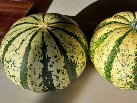 SQUASH from Chateaux Hamilton Hayes