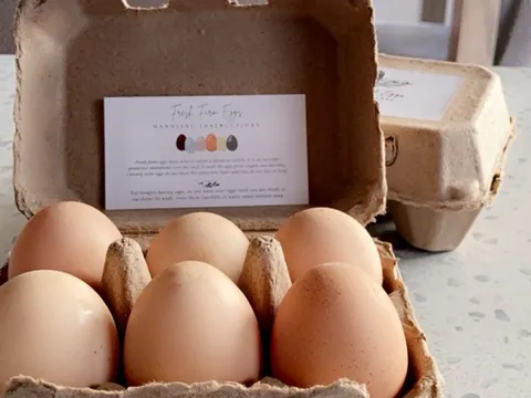Nays Farm Fresh Eggs from Nays Farm stand