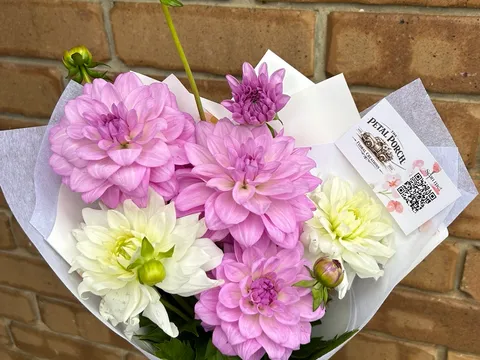 Dahlia bunch from The Petal Porch