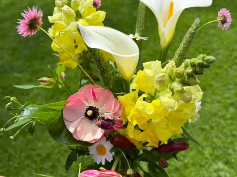 Garden grown vase from The Petal Porch