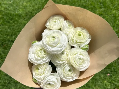 Locally grown ranunculus bunch from The Petal Porch