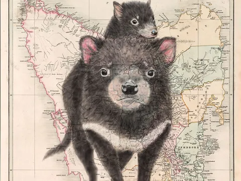 Tassie devils on a vintage Tasmanian map from Artist Tracey Polglaze
