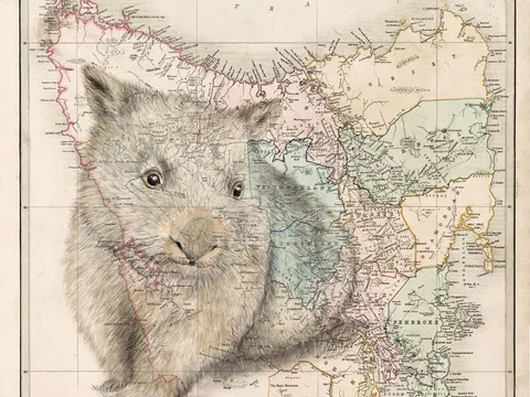 Dottie the Wombat on a vintage Tasmania map from Artist Tracey Polglaze