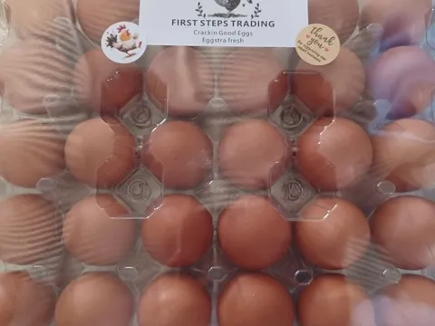 Large eggs. from First Steps Trading 