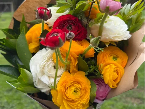 Fresh ranunculus bunches from a stall in Scotsdale, WA