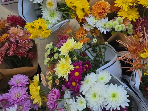 Chrysanthemum Bunches from Hillview Flowers