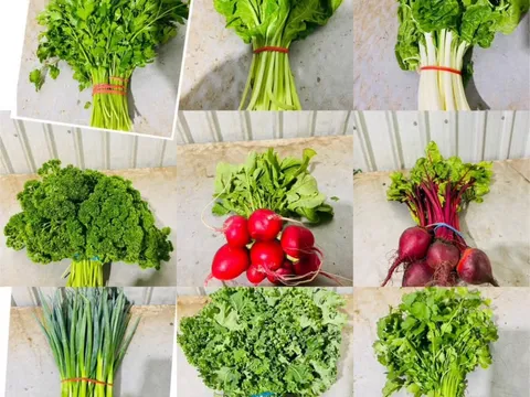 Bunchline vegetables and herbs from Thorndon Park Produce farmgate 