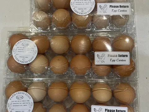 Fresh eggs from Baked at home