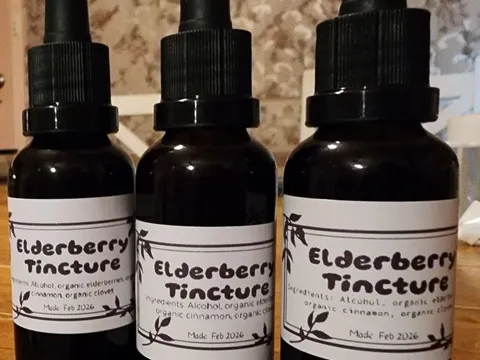 Elderberry Tincture from The Bush Alchemist