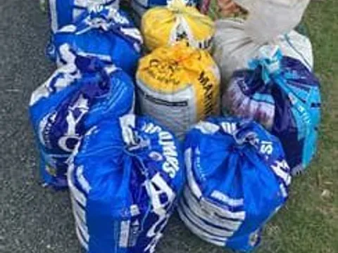 Free Horse Manure from Horse Manure Free