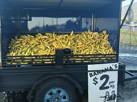 bananas from Banana Brothers Smithfield 