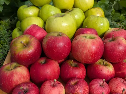 Apples from KQ PRODUCE
