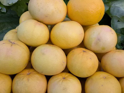New Season Grapefruit from KQ PRODUCE