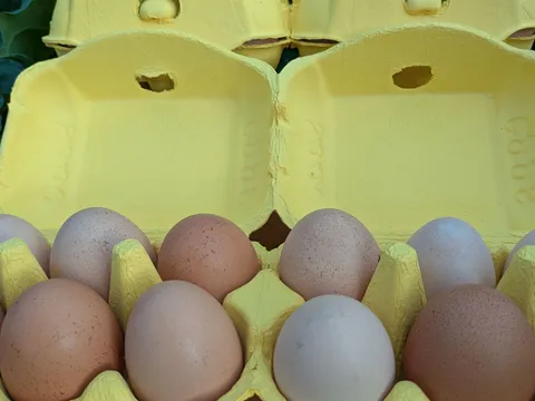 6Eggs from KQ PRODUCE