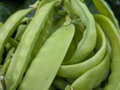 Skinless Peas from KQ PRODUCE