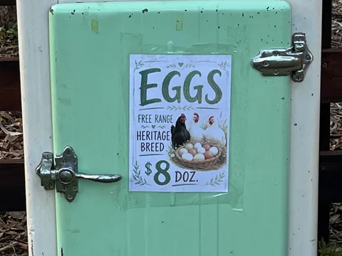 Local Eggs by Ethan & Levi from Local Eggs by Ethan and Levi