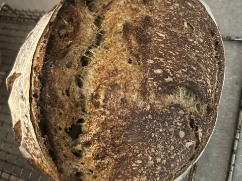 Bush Barista from The Native Crumb