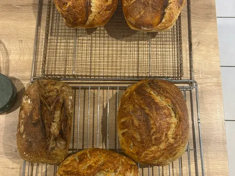 Mediterranean meadow from The Native Crumb