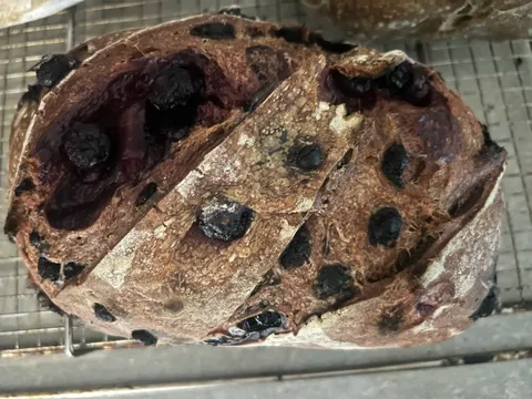 Bush berry from The Native Crumb