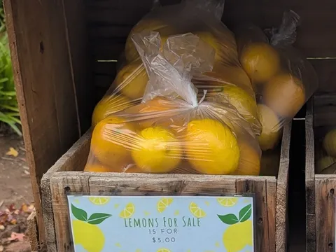 Lemons from Homegrown produce