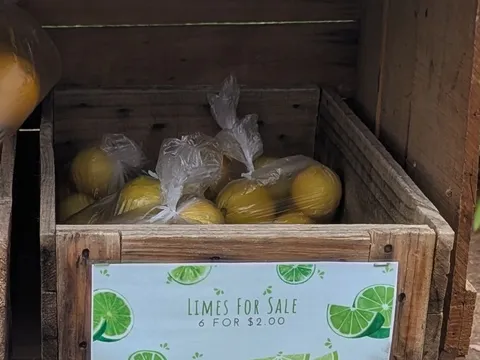 Limes from Homegrown produce