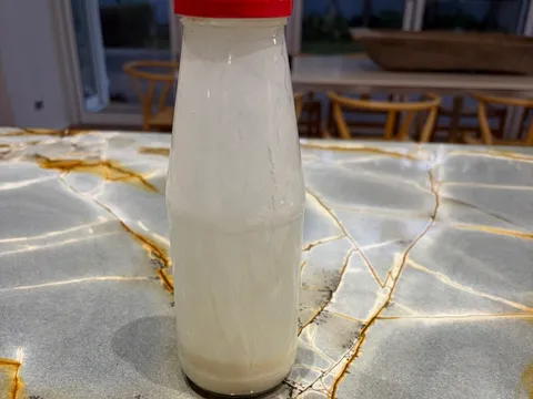 Organic Milk Kefir from Culture & Clove