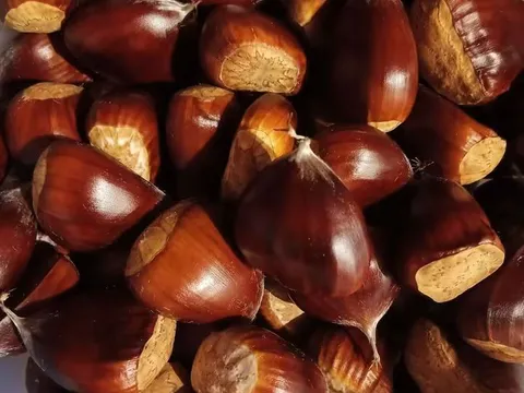Chestnuts from Mrs & Mrs Henry
