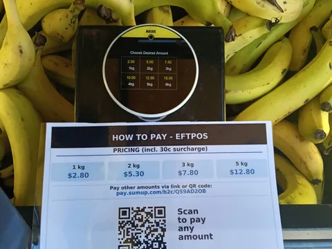 Bananas from Logan Bananas - Waterford Park