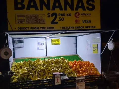 Mandarins from Logan Bananas - Waterford Park