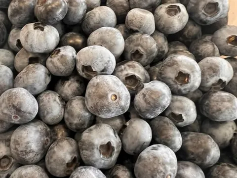 Fresh Blueberries 1kg from Cedarwood Blueberries
