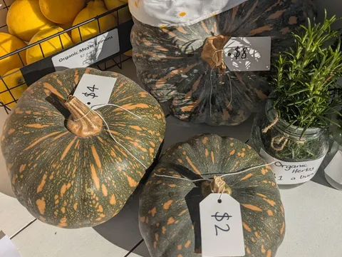 Organic pumpkins from STARA Homemade
