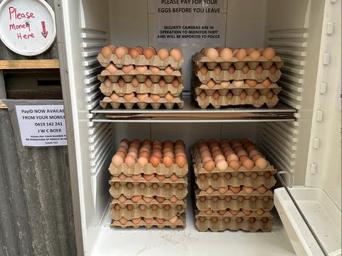 Tray of 30 Barn Laid Eggs from a stall in Wesburn, VIC