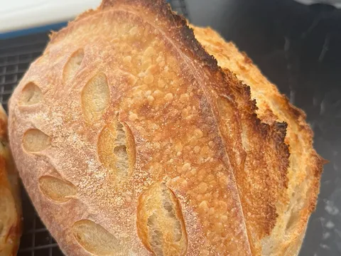 Murray Dough in Adelaide, SA