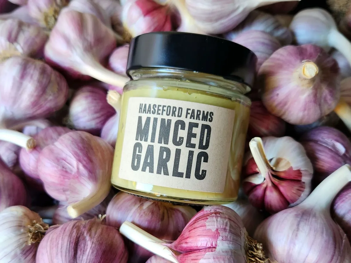 Haaseford Farms Garlic in Ironbank, SA