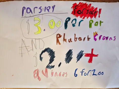 Pocket Money Pop Up Stall in Clunes, NSW