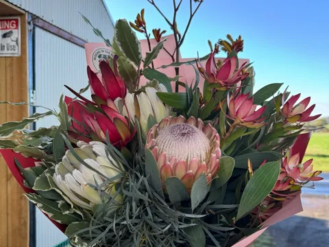 Blooms in the Bush  in Staughton Vale, VIC