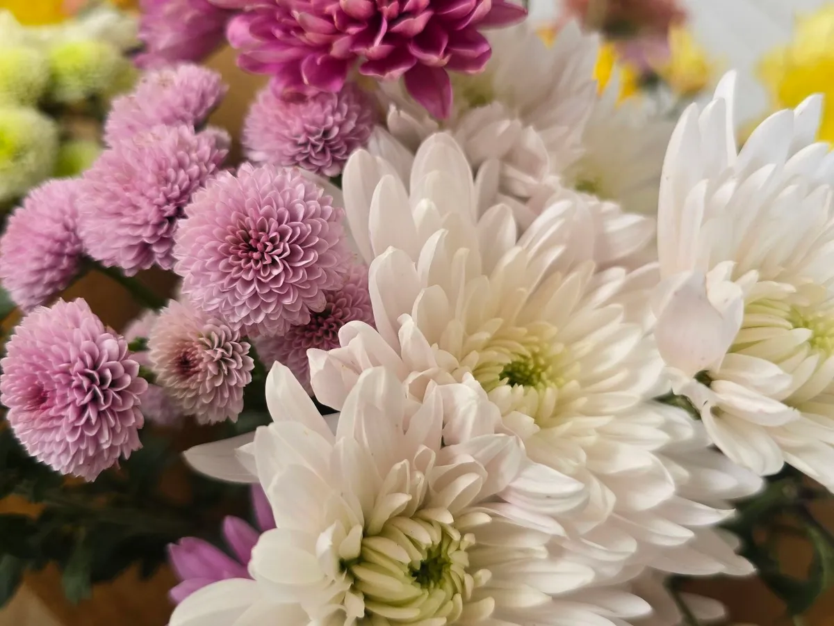Hillview Flowers in Mylor, SA