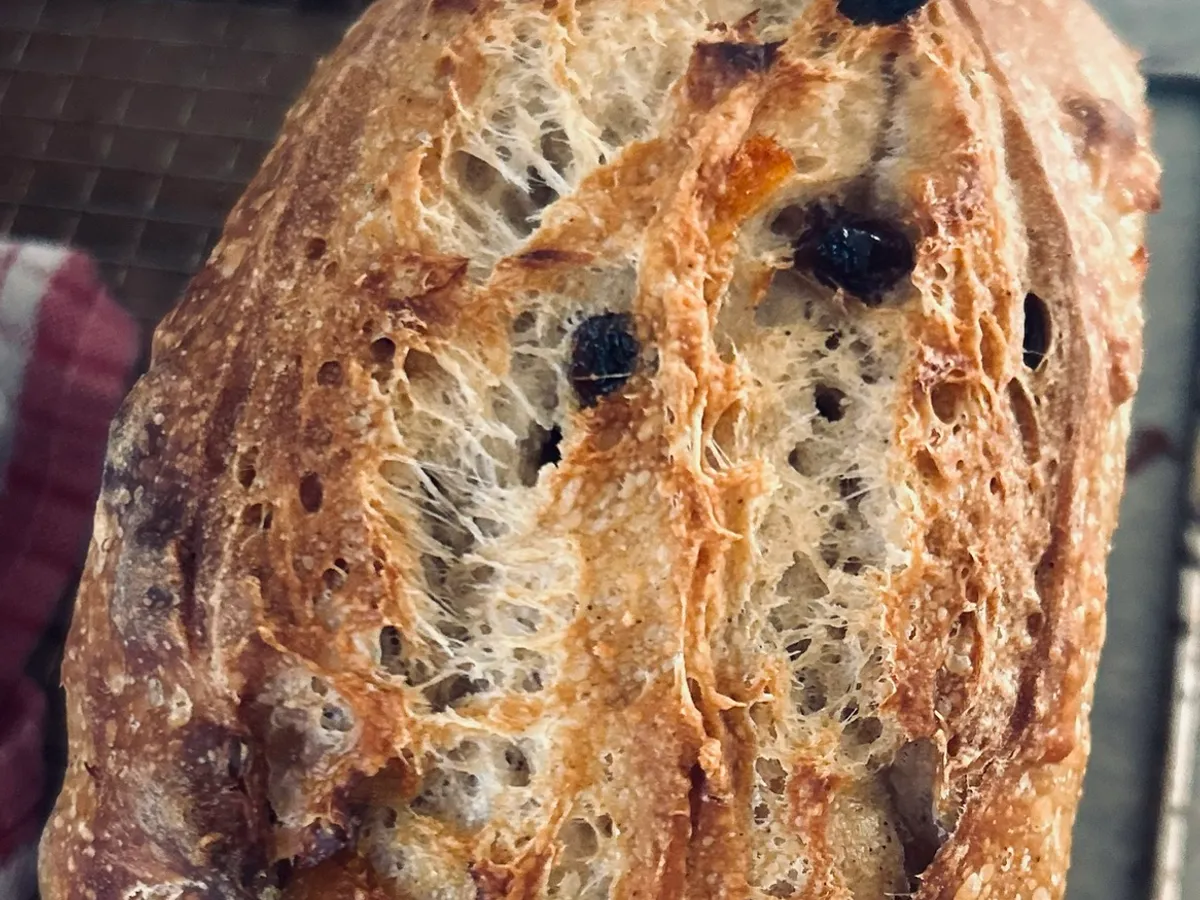 The Native Crumb in Kin Kora, QLD