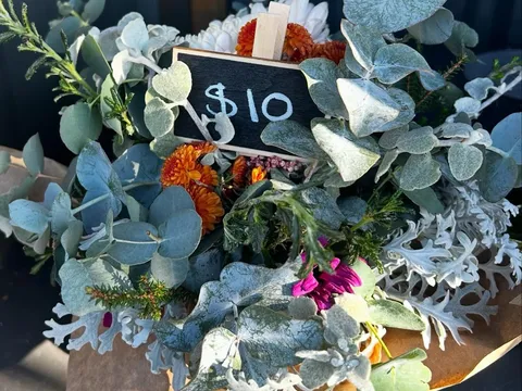 Hearps Blossom Basket  in West Ulverstone, TAS