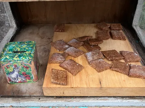 Paw-fect dog treats in Ridgley, TAS
