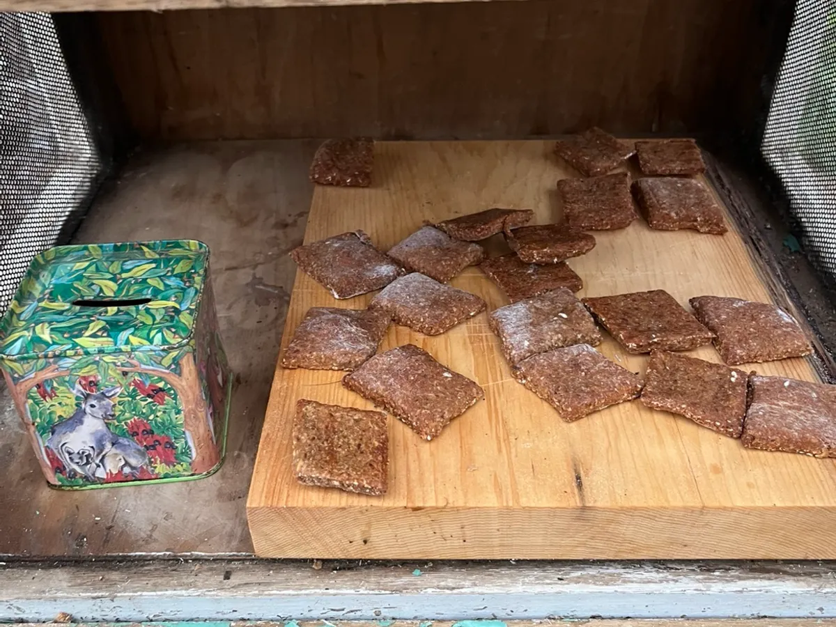 Paw-fect dog treats in Ridgley, TAS