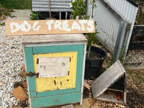 Paw-fect dog treats in Ridgley, TAS