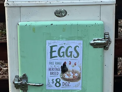 Local Eggs by Ethan and Levi in McLaren Flat, SA