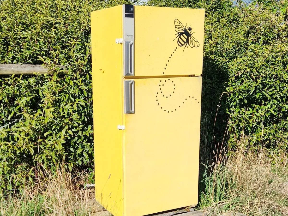 Little yellow fridge  in West Mooreville, TAS